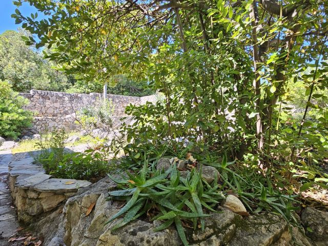 Šarmantna kuća za odmor s velikom okućnicom/ KOLOČEP/DUBROVNIK