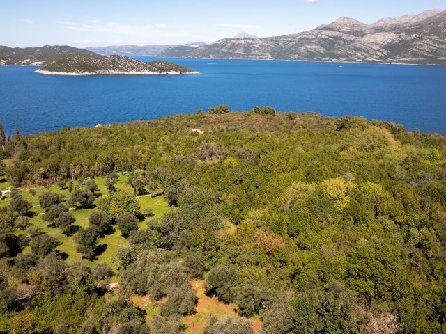 Building land for sale on the island of Lopud, surroundings of Dubrovnik