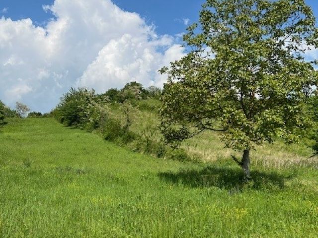 Land Brezje, Sveta Nedelja, Kozjak, 2.100m2