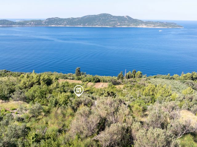 Agricultural land for sale in Trsteni, near Dubrovnik